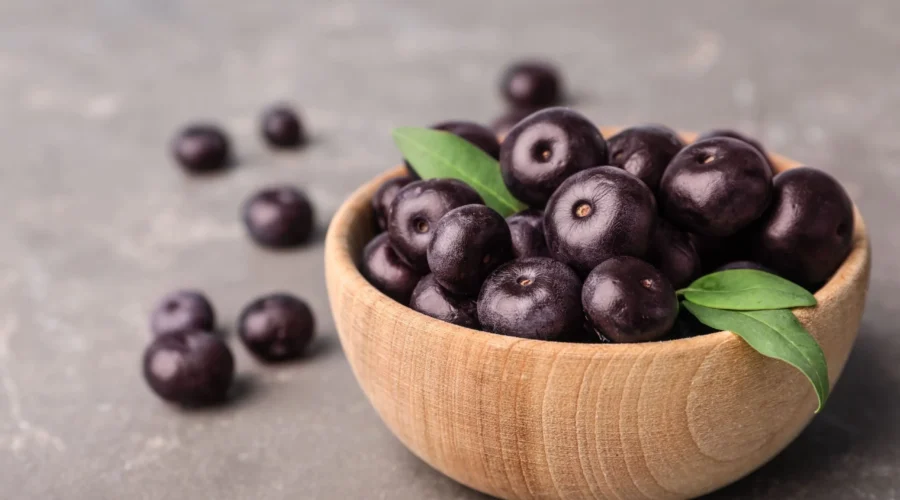 acai pálma gyümölcs