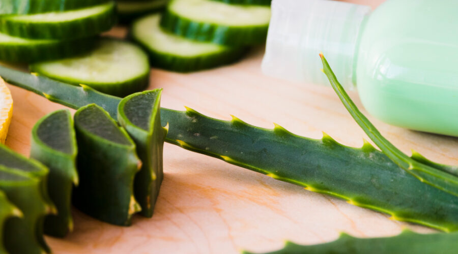 aloe vera hatásai