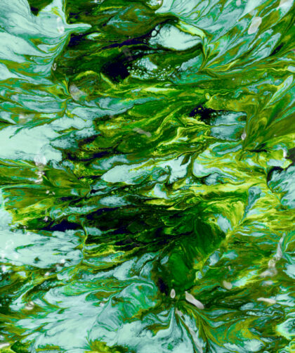 spirulina chlorella algák-hatásai