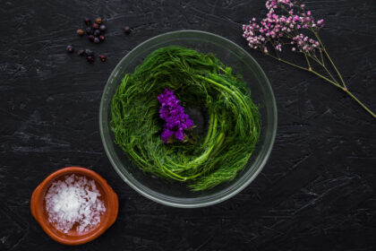 spirulina alga