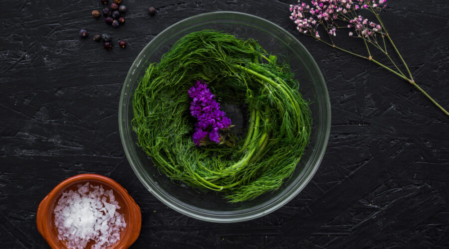 spirulina alga